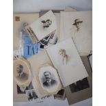 A collection of mainly early 20thC unframed family studio photos mounted on card, the