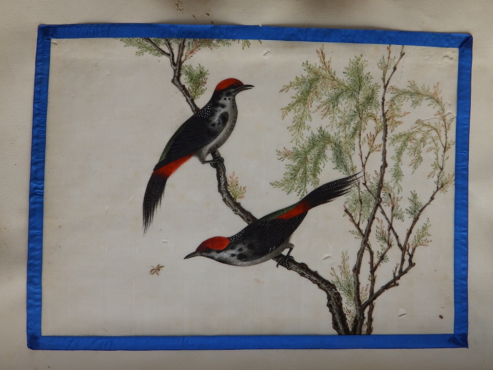 A late Victorian scrap album containing 16 double-sided pages bearing pasted-in Chinese watercolours - Image 7 of 18