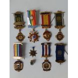 Seven gilt metal Order of Buffaloes medals.