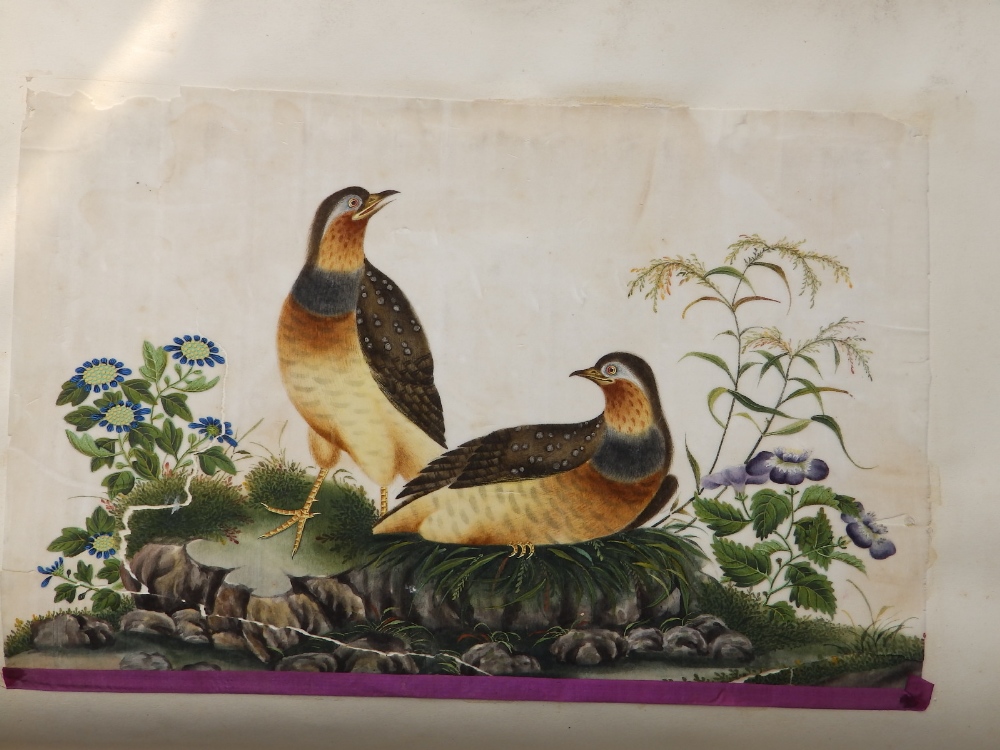 A late Victorian scrap album containing 16 double-sided pages bearing pasted-in Chinese watercolours - Image 8 of 18