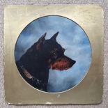 19thC School - Circular oil on board - Head portrait of a dog, 10.5" diameter.