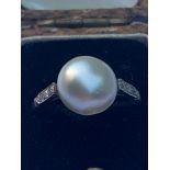 A certified natural saltwater pearl ring, the button-shaped pearl measuring 10.3mm, of cream