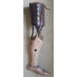 An adult size prosthetic leg.