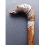 An early 20thC walking stick with greyhound head handle, inset eyes, Birmingham silver mounts, 31",