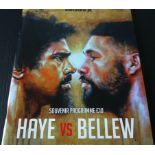 BOXING - 2017 DAVID HAY V TONY BELLOW