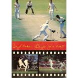 CRICKET - DENYS HOBSON WESTERN PROVINCE SOUTH AFRICA BENEFIT BROCHURE