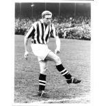 WEST BROMWICH ALBION - COLORSPORT PHOTO OF DEREK KEVAN 1956-57