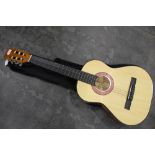 6 string acoustic guitar