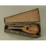 A vintage Stridente mandolin,