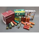 A collection of +/- thirty five shotgun cartridges,