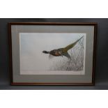 Leon Danchin (1887-1938), a signed etching of a Pheasant in flight, 34 x 57 cm,
