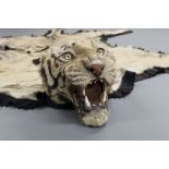 Taxidermy - Tiger skin rug with mounted head, attributed to Van Ingen.