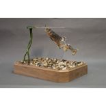 Taxidermy - Robert Reed Sussex Taxidermy,