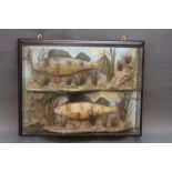 Taxidermy - A pair of 20th century fibreglass perch,