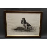 Leon Danchin (1887-1938), a signed etching depicting a Spaniel and Pheasant. 41 x 61 cm, framed.