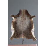 Taxidermy - Blesbok skin, length 4' 6" x 3'.