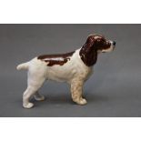 A Beswick large figure of a Spaniel, height 13.5 cm.