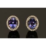 A pair of 18 ct white gold stud earrings, set with oval cut tanzanite to diamond halos.