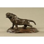 A Japanese bronze tiger, raised on a wooden plinth. Length 14 cm.