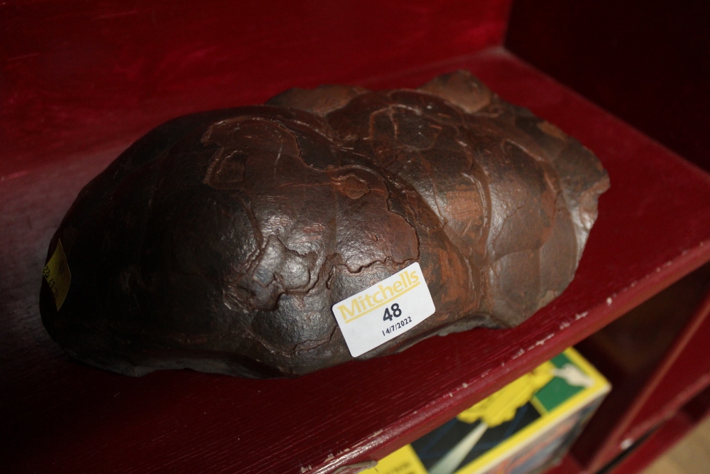 A large piece of kidney ore hematite measuring 27 cm x 16 cm
