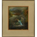 Elizabeth Garnet Orme, mixed media Kingfisher. 28 cm x 23 cm, framed, signed and dated 1986.