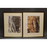 Roger McPhail, two prints (1 signed) titled The Salmon and The Trout.
