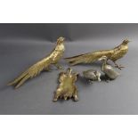 Two brass Golden Pheasants, together with a pair of ducks and a lion skin rug.
