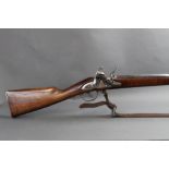 A reproduction muzzle loading Charleville flintlock musket (smooth bore) made by Pedersoli,