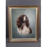 Edith Towler an oil on canvas, portrait of a Spaniel. 50 x 40 cm, dated 1979, framed.