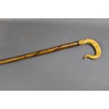 A hazel shafted walking stick with sheep's horn handle,