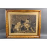 A Victorian lithograph of terriers ratting, 38 x 53 cm in a maple frame,