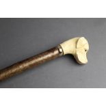 Classic Canes England, a hazel shafted walking stick, with yellow Labrador shaped resin head handle.
