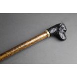 Classic Canes England, a hazel shafted walking stick, with black Labrador shaped resin head handle.
