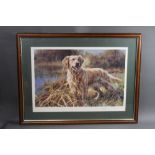Mick Cawston, a signed limited edition print of a Golden Retriever, published by Sally Mitchell.