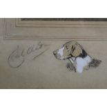 Cecil Aldin 1870-1935 a pencil and watercolour vignette 5 x 8 cm of a foxhound signed to the mount