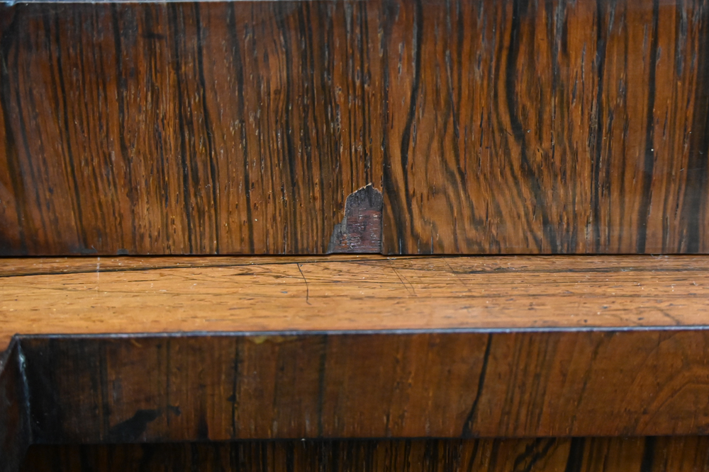 A 19th century rosewood bookcase, - Image 13 of 15