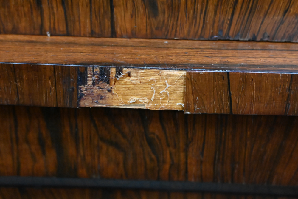 A 19th century rosewood bookcase, - Image 14 of 15