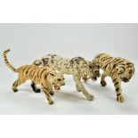 Trio of Tiger x 2 plus one other Vintage/Antique Taxidermy Animals. With real fur and glass eyes.