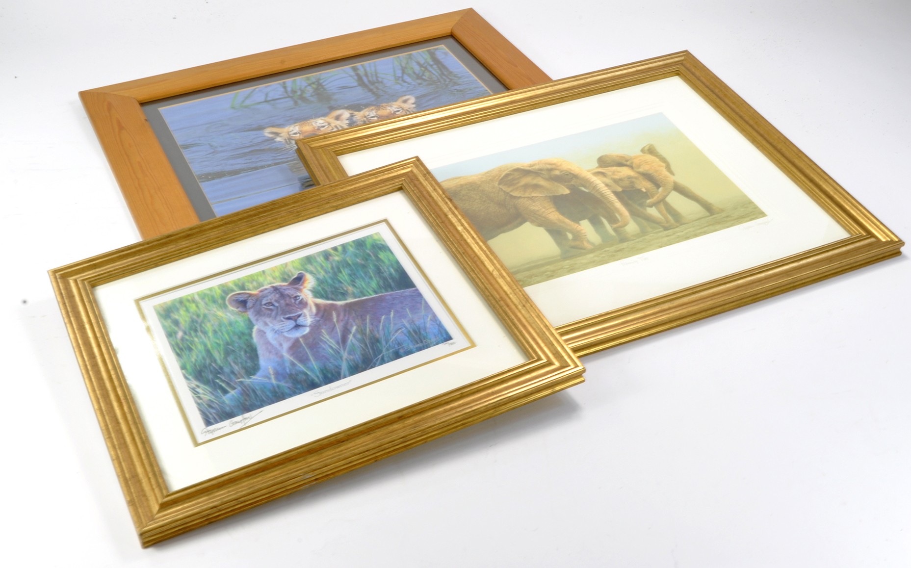 Trio of Limited Edition Animal Prints, Elephants, Lions, Tigers.