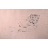 MICHAEL AYRTON [1921-96]. Cat Asleep, c.1953. pencil on brown paper; studio stamp signature on the