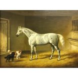 J F HERRING SENR (1795-1865) “Dapple Grey Hunter in a stable with Spaniels”, oil on canvas,