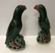 A pair of Chinese porcelain figures of green parrots raised on pierced rocky outcrop each with red