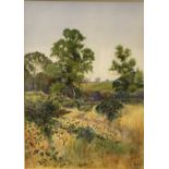 T H “A rural landscape with trees, shallow hill rising in background”,