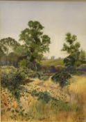 T H “A rural landscape with trees, shallow hill rising in background”,
