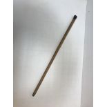 A late Victorian horn handled malacca cane with horn tip 88 cm long,