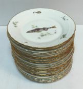 A collection of twenty-one Richard Ginori porcelain plates each depicting fish 26 cm in diameter