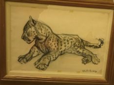 ELSIE MARIAN HENDERSON (1880-1967) "Young leopard c 1950" study of a recumbant leopard conte and