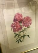 Two boxes of assorted prints and engravings etc to include various watercolour botanical studies by