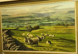 ROBERT NICHOLLS "Sheep in hilly landsca