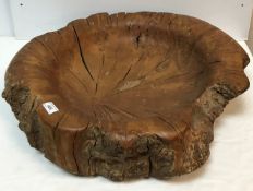 A 20th Century turned/carved burr oak bowl of large proportions 67 cm x 62 cm approx x 14 cm high